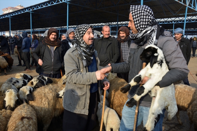 Çoban Hamza'nın kayak tutkusu