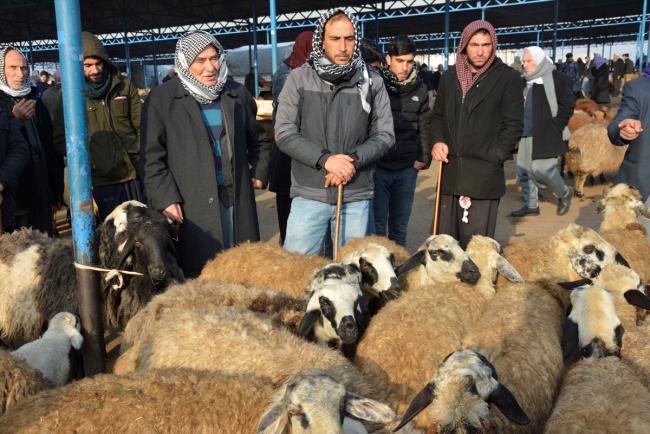 Çoban Hamza'nın kayak tutkusu