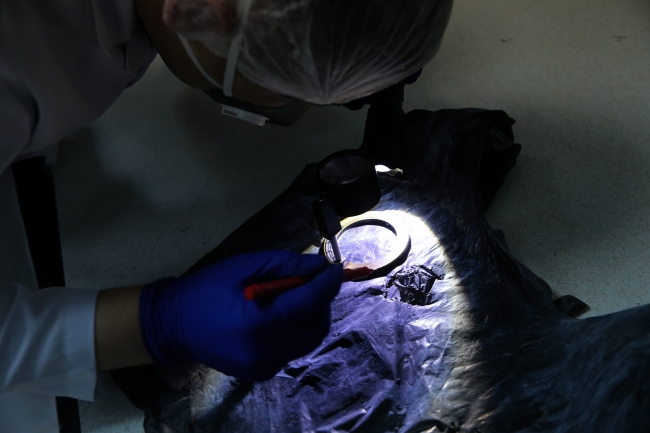 2 bin 765 faili meçhul olay parmak izinden aydınlatıldı