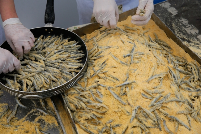 İzmir'deki şenlikte 10 ton hamsi dağıtıldı