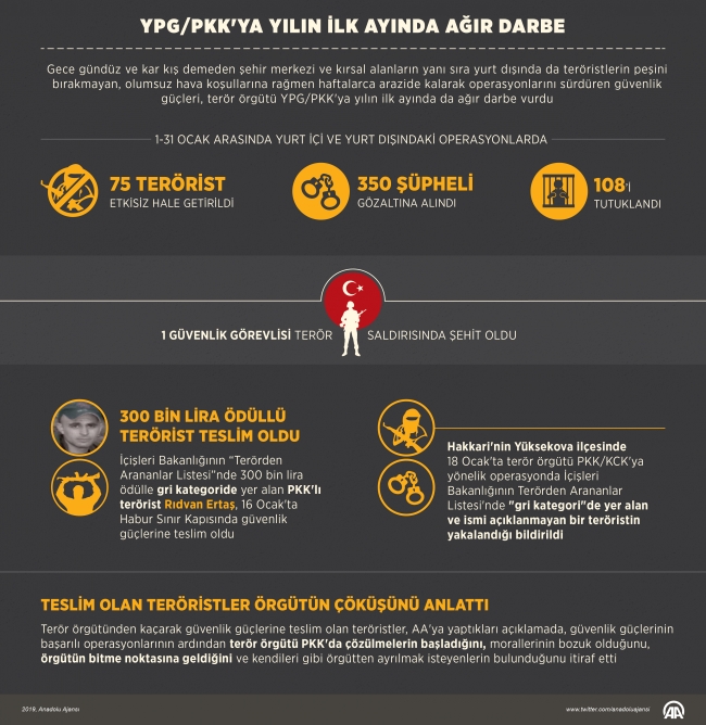 YPG/PKK'ya yılın ilk ayında ağır darbe