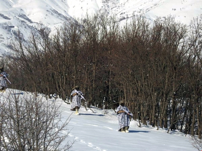 Muş'ta PKK'nın kış üslenmesine darbe