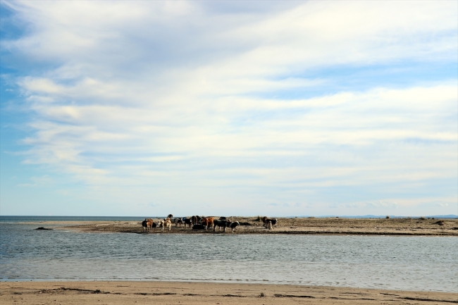 Deniz ve gölün birleştiği doğa harikası
