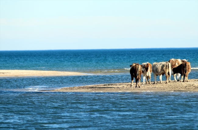 Deniz ve gölün birleştiği doğa harikası
