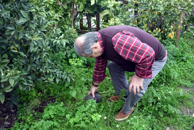 Kaplumbağa "Cuma" ailenin parçası oldu