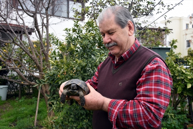 Kaplumbağa "Cuma" ailenin parçası oldu