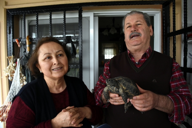 Kaplumbağa "Cuma" ailenin parçası oldu