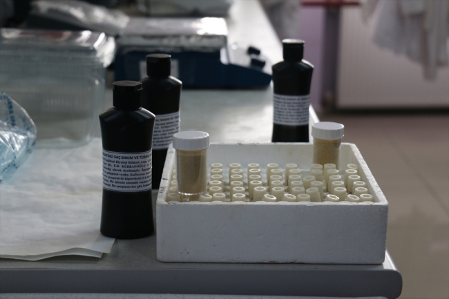 Erzurum'da yerli "nano-keratin" üretildi