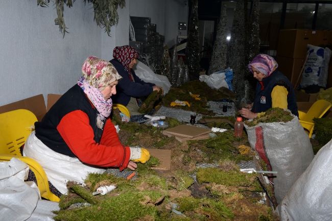 Ormanın çöpünü işleyerek 20 ülkeye ihraç ediyor