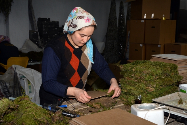 Ormanın çöpünü işleyerek 20 ülkeye ihraç ediyor