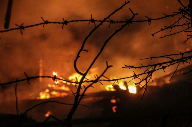 Kütahya Domaniç'te iki ev ve iki ahır küle döndü