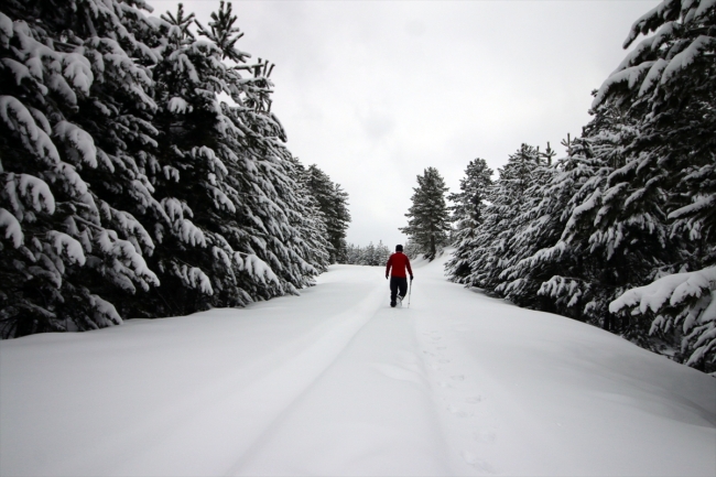 Doğa ve fotoğraf tutkunlarının gözdesi: Karakışla Yaylası