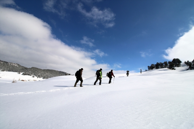 Doğa ve fotoğraf tutkunlarının gözdesi: Karakışla Yaylası
