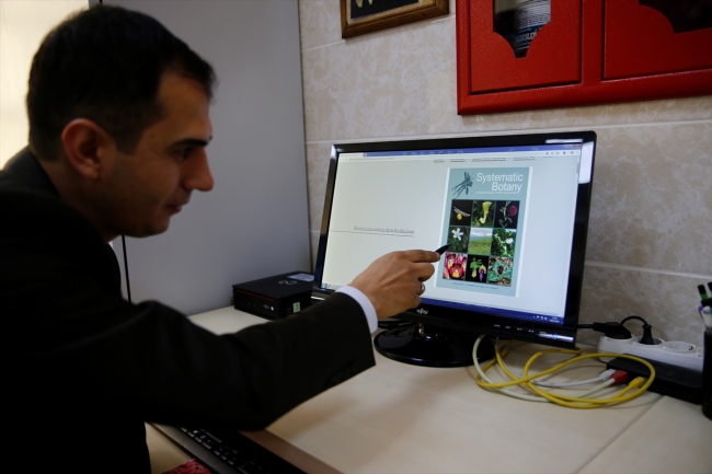 Keşfedilen bitkiye Aziz Sancar'ın adı verildi