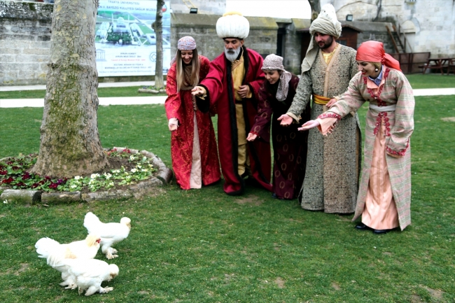 Osmanlı'nın sultan tavukları müzede besleniyor