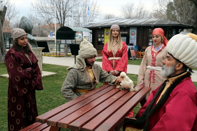 Osmanlı'nın sultan tavukları müzede besleniyor