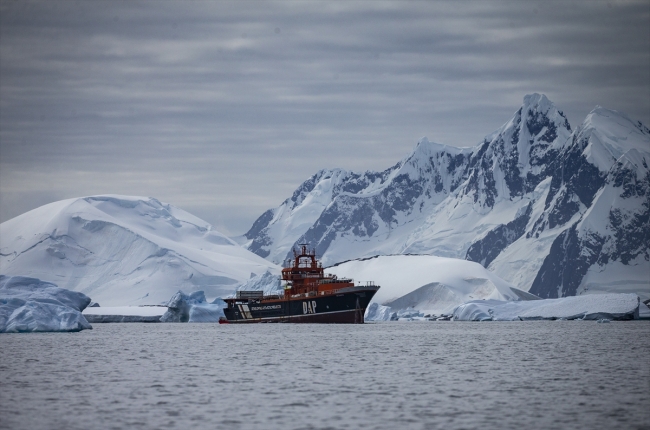 Milli sporcu Şahika Ercümen'den Antarktika'da özel dalış