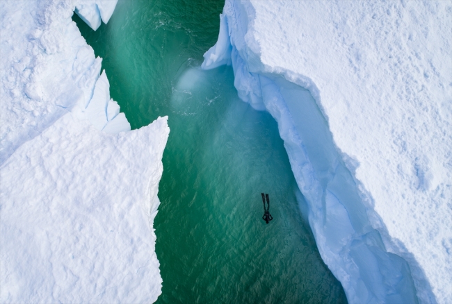 Milli sporcu Şahika Ercümen'den Antarktika'da özel dalış