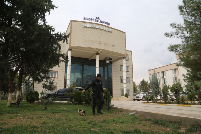 Köpek yavrularına polis şefkati