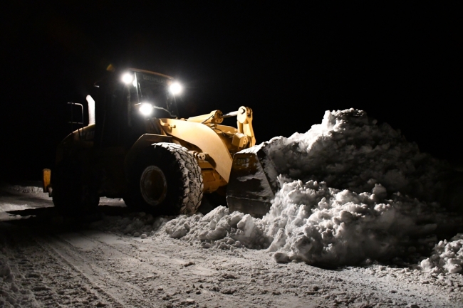 Ekipler köpeklerin yaraladığı genç için seferber oldu