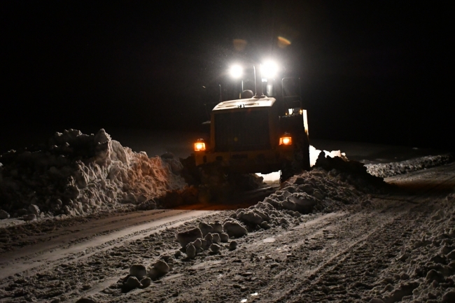 Ekipler köpeklerin yaraladığı genç için seferber oldu
