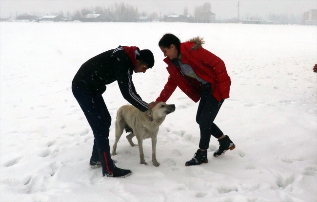 Yemeklerini aç kalan hayvanlarla paylaşıyorlar