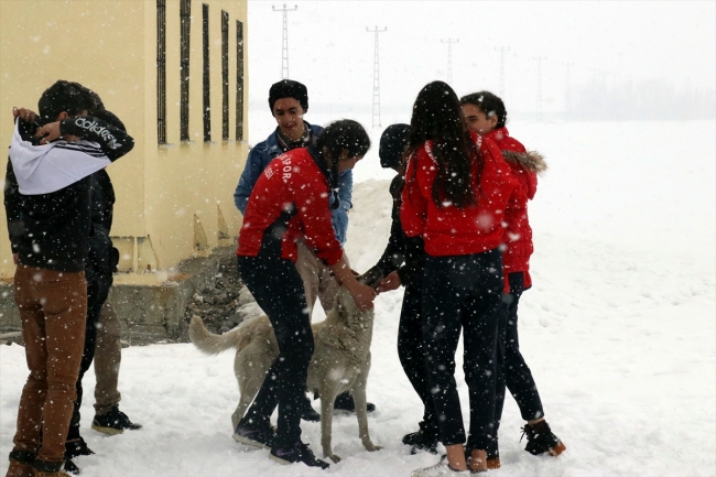 Yemeklerini aç kalan hayvanlarla paylaşıyorlar