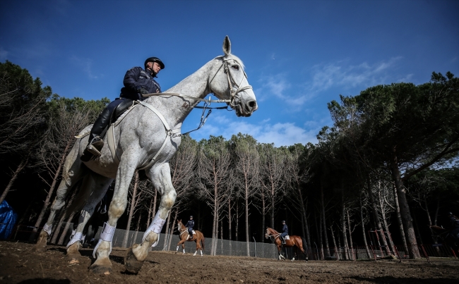 Tarihi Gelibolu Yarımadası "Atlı Birlikler"e emanet