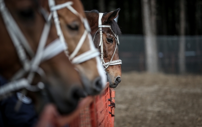 Tarihi Gelibolu Yarımadası "Atlı Birlikler"e emanet
