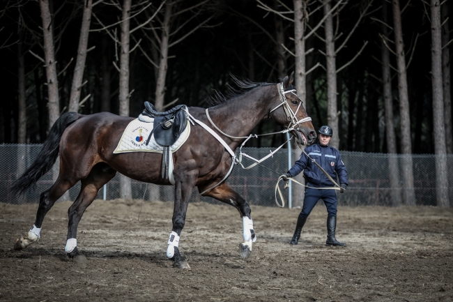 Tarihi Gelibolu Yarımadası "Atlı Birlikler"e emanet