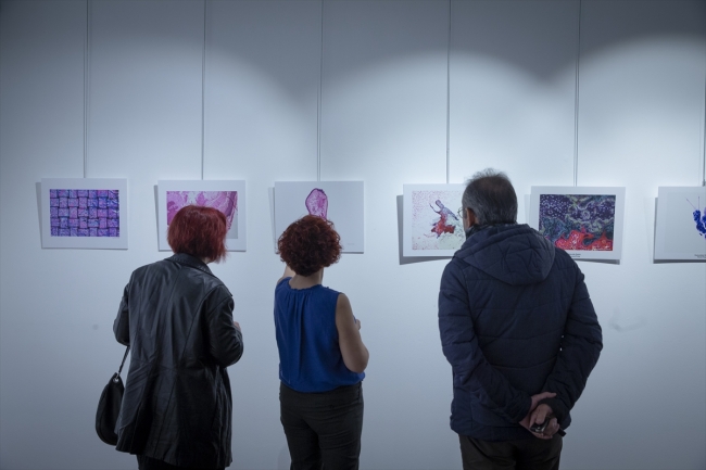 Mikroskopla inceledikleri dokuları fotoğrafladılar