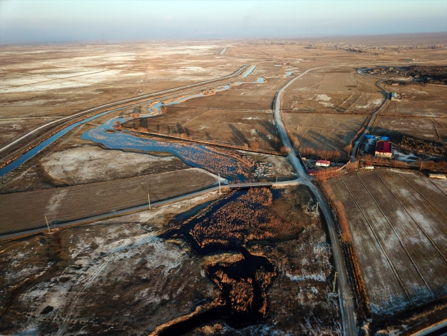 "Esrarengiz fareler" Ağrı Dağı'nı sevdi