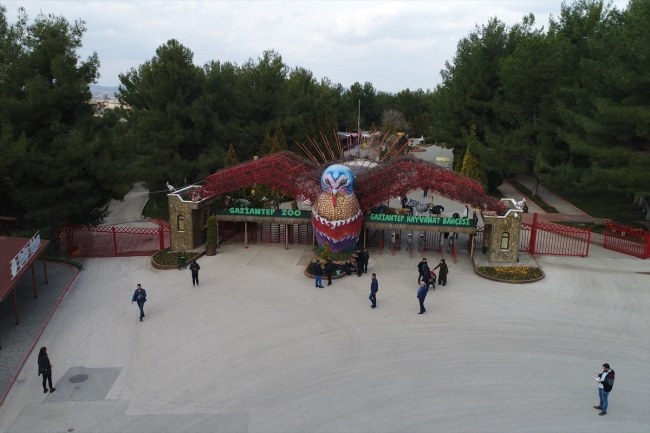 Hayvanat bahçesinin bekarlarına eş aranıyor