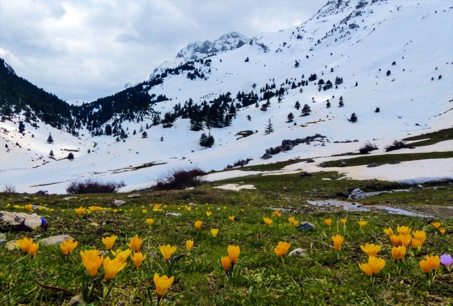 Fotoğraf tutkunlarının gözdesi: Küpe Dağları