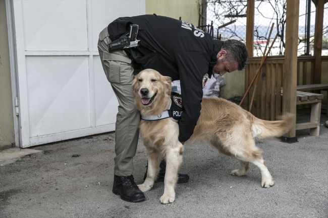 Uyuşturucu tacirlerinin korkulu rüyası: Hassas burunlar