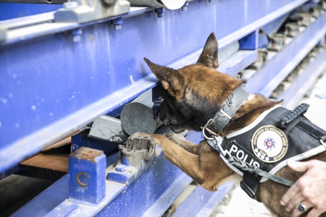 Uyuşturucu tacirlerinin korkulu rüyası: Hassas burunlar