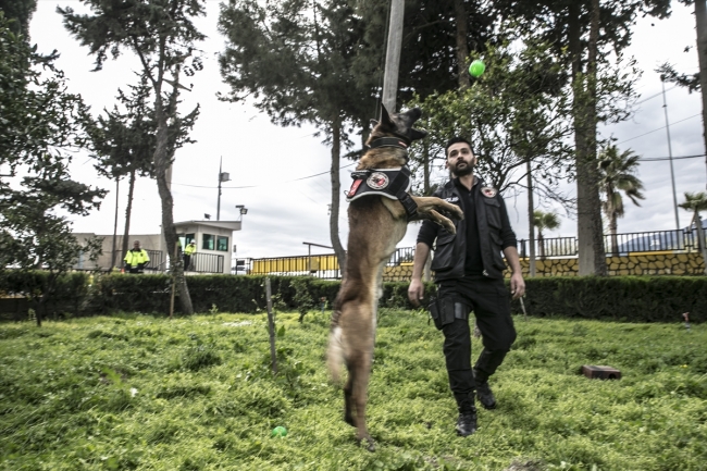 Uyuşturucu tacirlerinin korkulu rüyası: Hassas burunlar