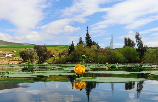 Eşsiz manzarası ve zengin florasıyla Gölbaşı Gölü