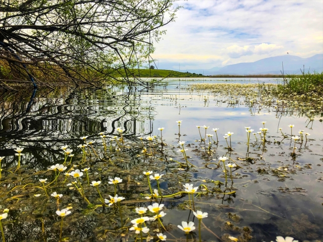 Eşsiz manzarası ve zengin florasıyla Gölbaşı Gölü