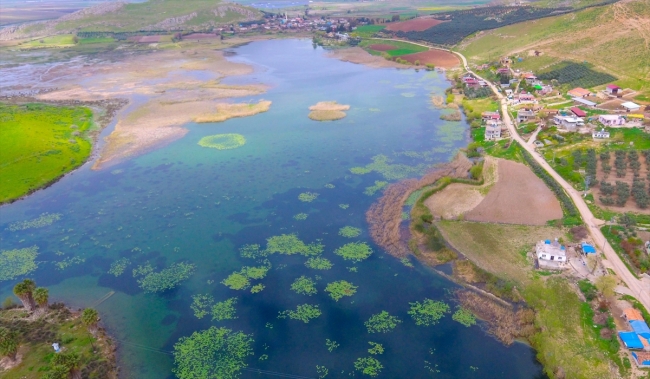 Eşsiz manzarası ve zengin florasıyla Gölbaşı Gölü