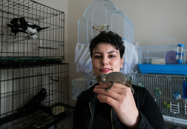 Evinde 100'e yakın hasta ve yaralı hayvana bakıyor