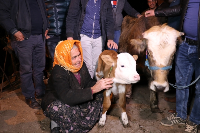 İneği için gözyaşı döken kadına Tarım ve Orman Bakanı'ndan hediye