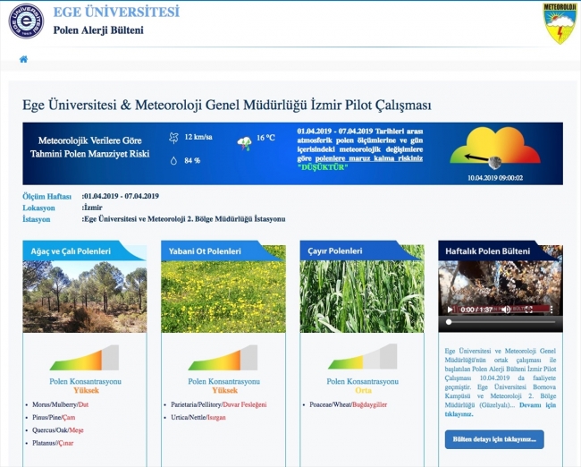 "Hava polen durumu" tahmin ve uyarı uygulaması başladı