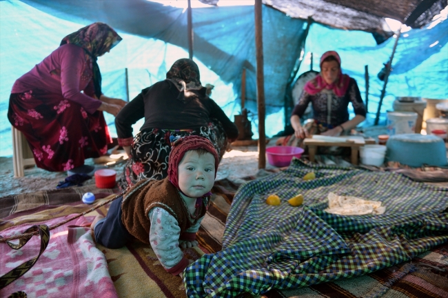 Konargöçerlik kültürünün bin yıllık temsilcileri: Sarıkeçili Yörükleri