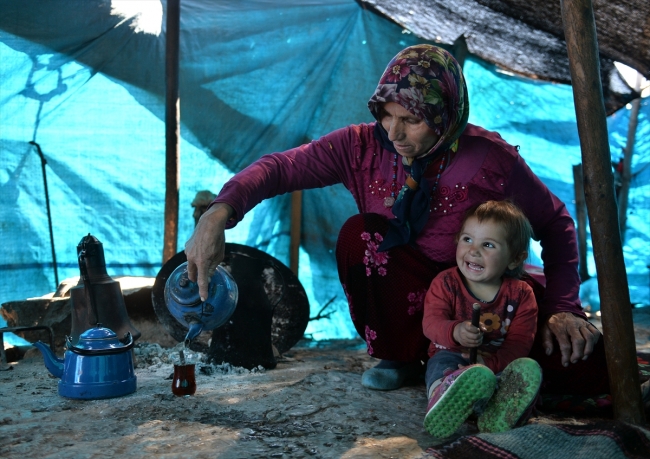 Konargöçerlik kültürünün bin yıllık temsilcileri: Sarıkeçili Yörükleri