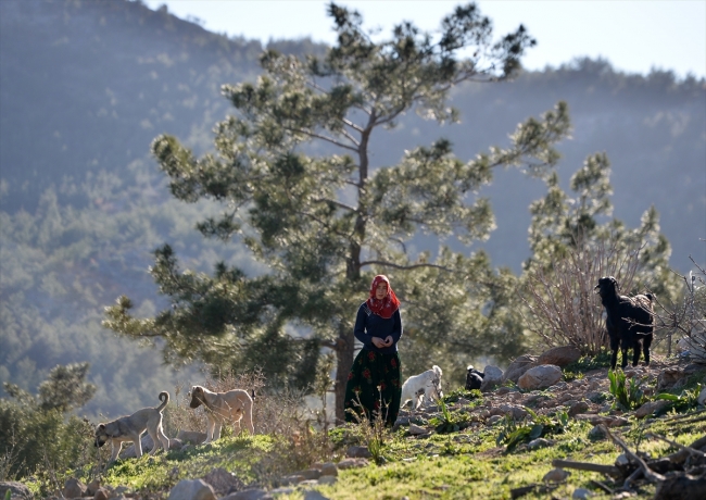 Konargöçerlik kültürünün bin yıllık temsilcileri: Sarıkeçili Yörükleri