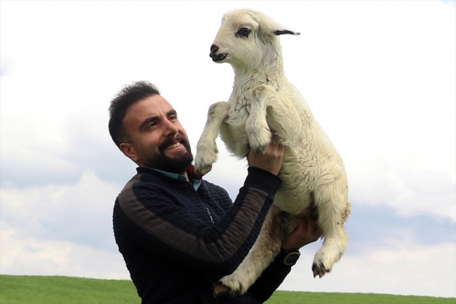 Mühendis kardeşler baba mesleği çobanlıktan vazgeçmiyor