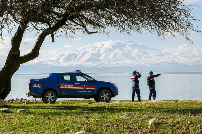 İnci kefaline havadan ve karadan koruma