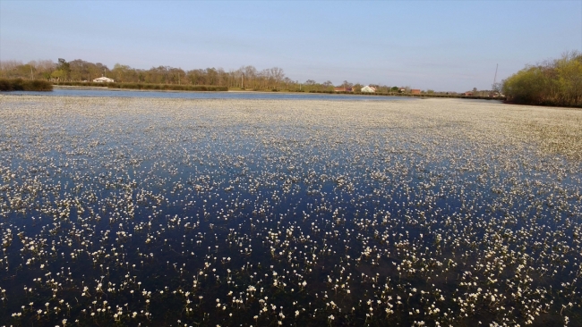 "Kuş cenneti" ve "batık minare" ziyaretçilerini bekliyor