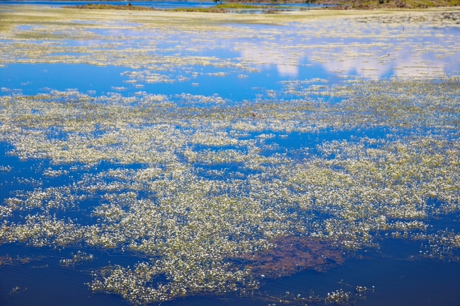 Hatay'daki volkanik göl turizme kazandırılacak